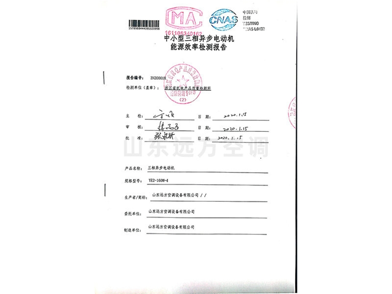 中小型三相異步電動(dòng)機(jī)能源效率檢測報(bào)告