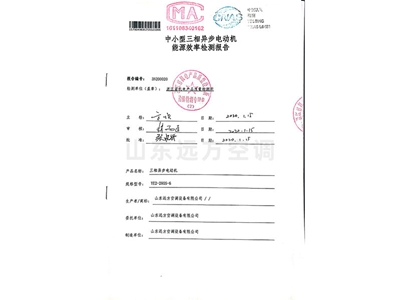 中小型三相異步電動機能源效率檢測報告